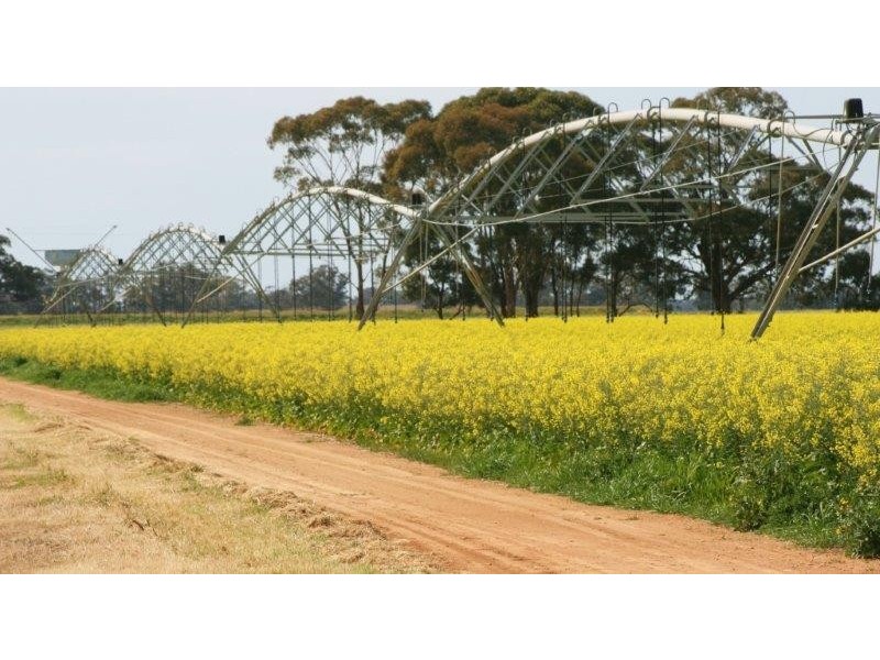 . Perricoota Road, Moama NSW 2731