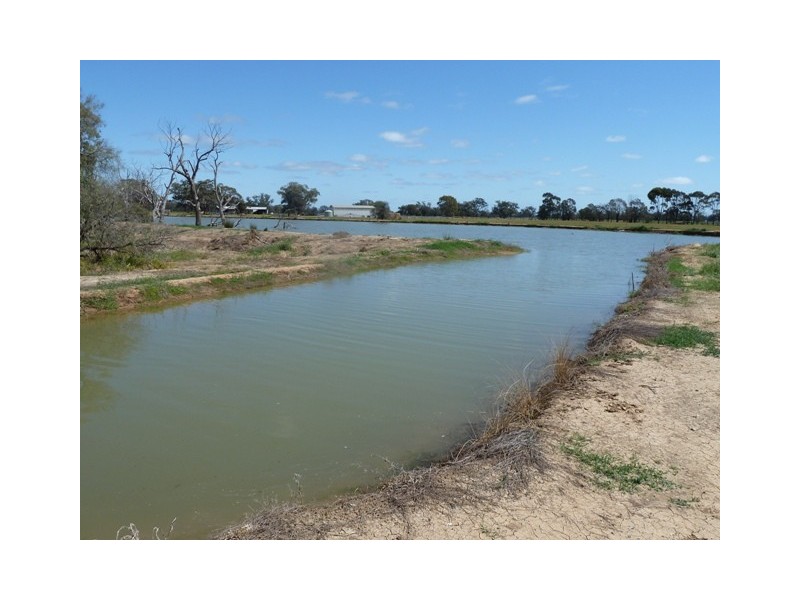 . Perricoota Road, Moama NSW 2731