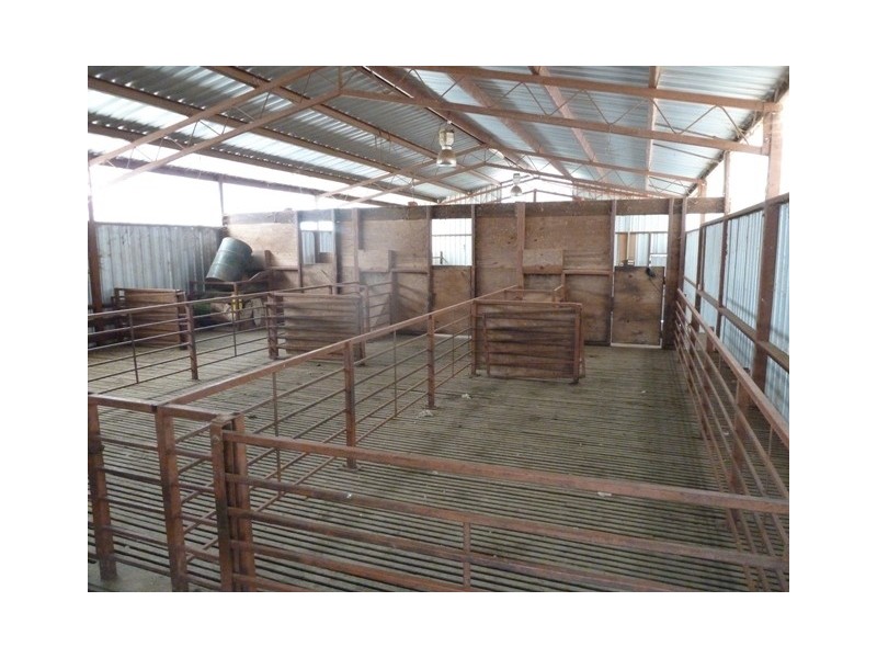 . Perricoota Road, Moama NSW 2731