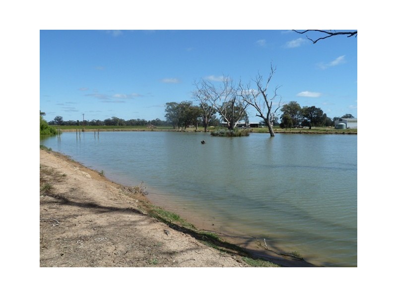 . Perricoota Road, Moama NSW 2731