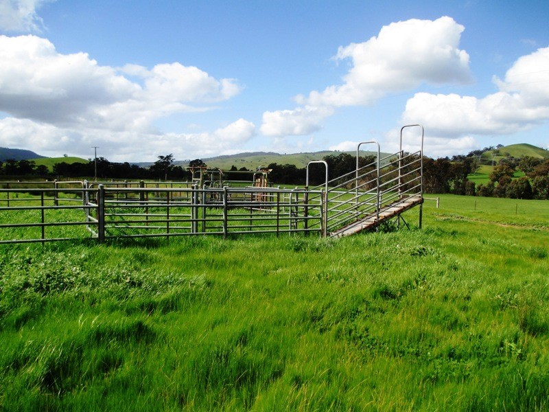 100 Old Johnsons Creek Road, Alexandra VIC 3714
