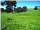 100 Old Johnsons Creek Road, Alexandra VIC 3714