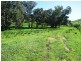 100 Old Johnsons Creek Road, Alexandra VIC 3714