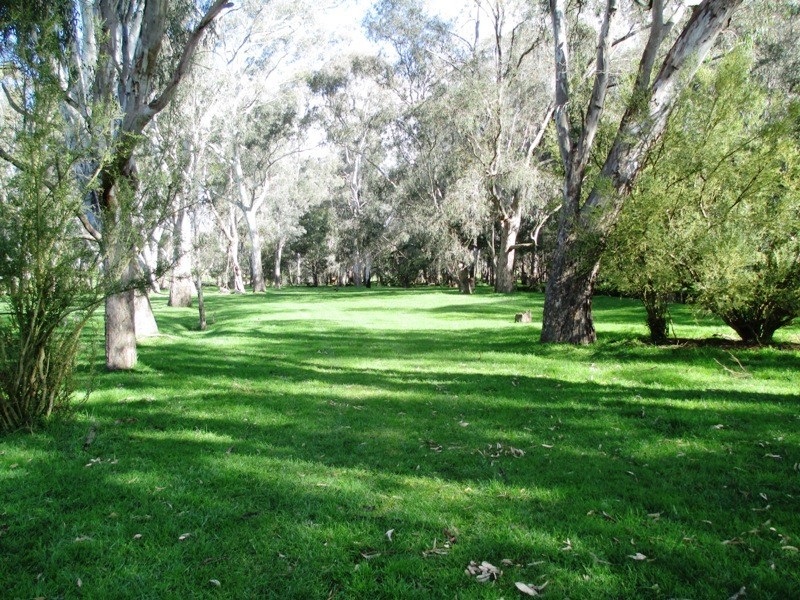 547 Acheron Road, Acheron VIC 3714