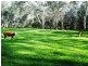 547 Acheron Road, Acheron VIC 3714