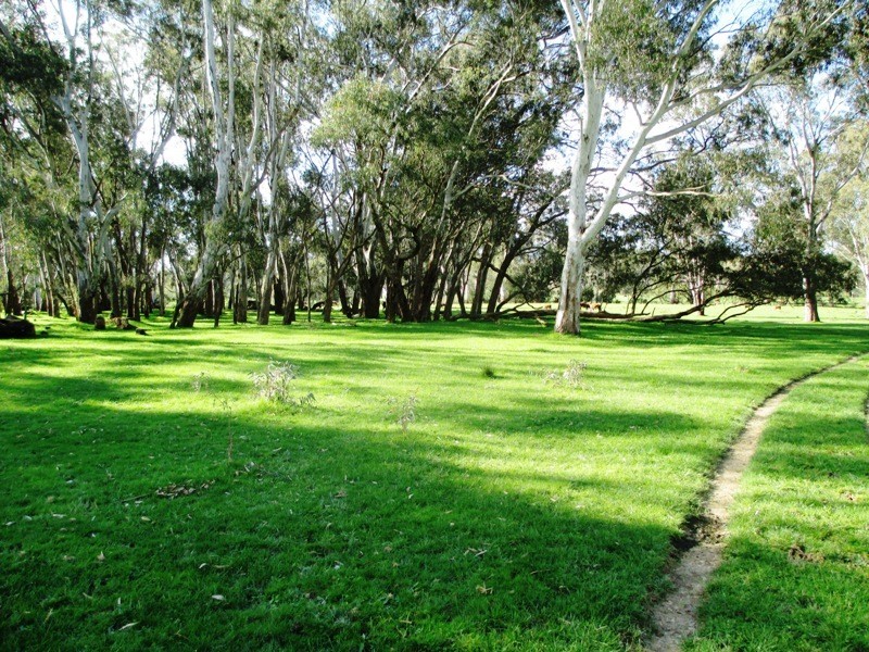 547 Acheron Road, Acheron VIC 3714