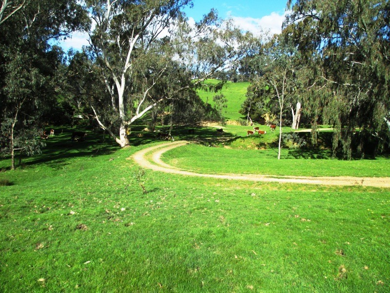 547 Acheron Road, Acheron VIC 3714