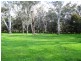 547 Acheron Road, Acheron VIC 3714