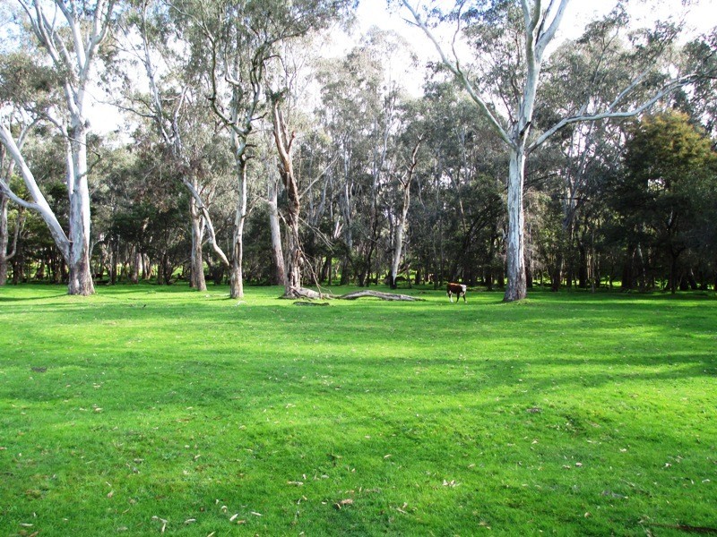 547 Acheron Road, Acheron VIC 3714