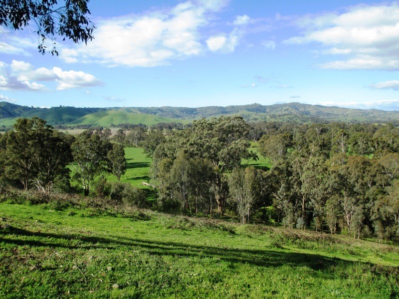 547 Acheron Road, Acheron VIC 3714