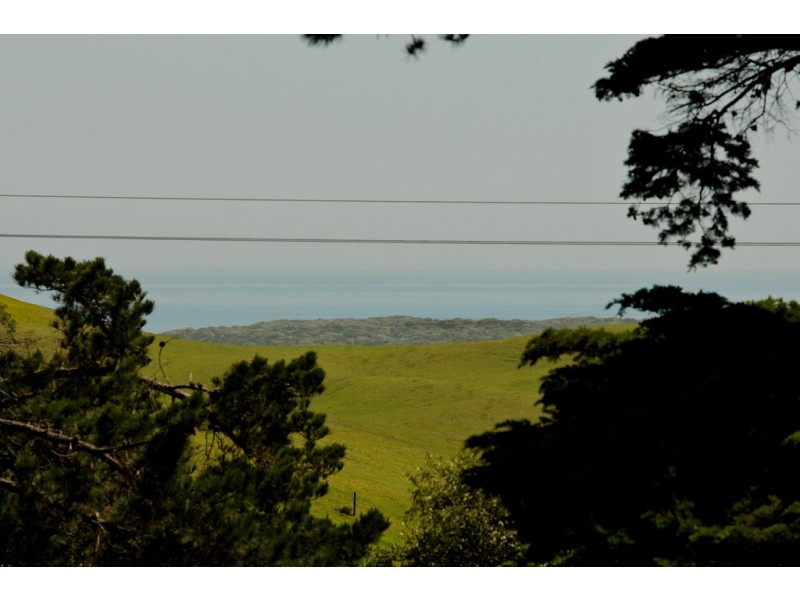 895 Boneo Road, Cape Schanck VIC 3939