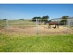 895 Boneo Road, Cape Schanck VIC 3939