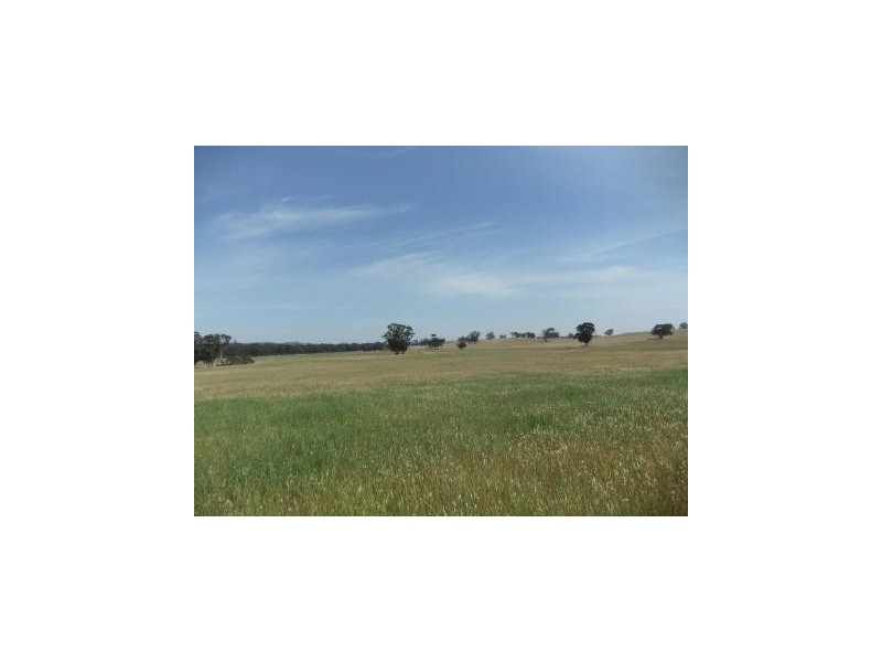 * Tottington Road John Bull Via, St Arnaud VIC 3478