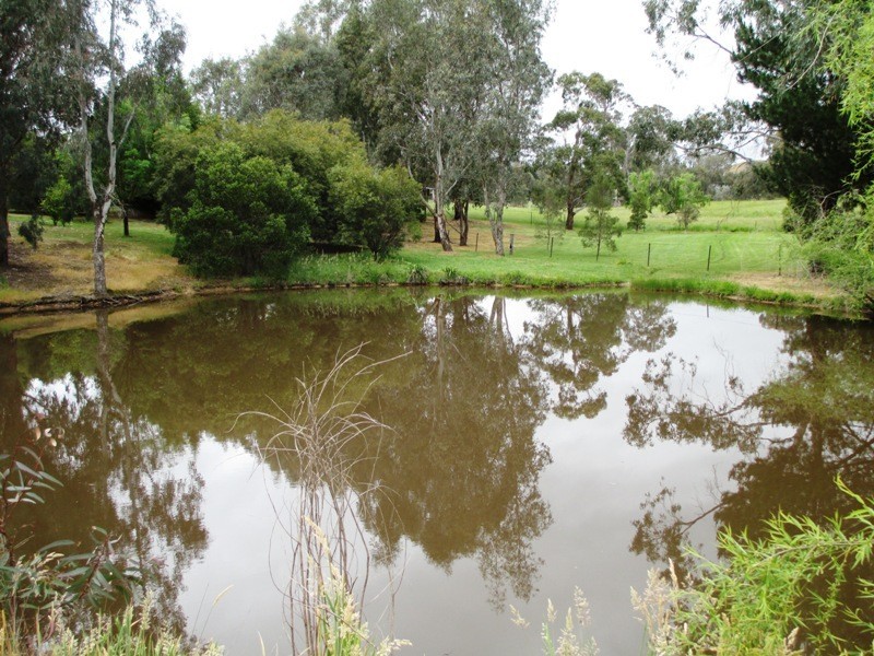 20 Weeks Court, Alexandra VIC 3714