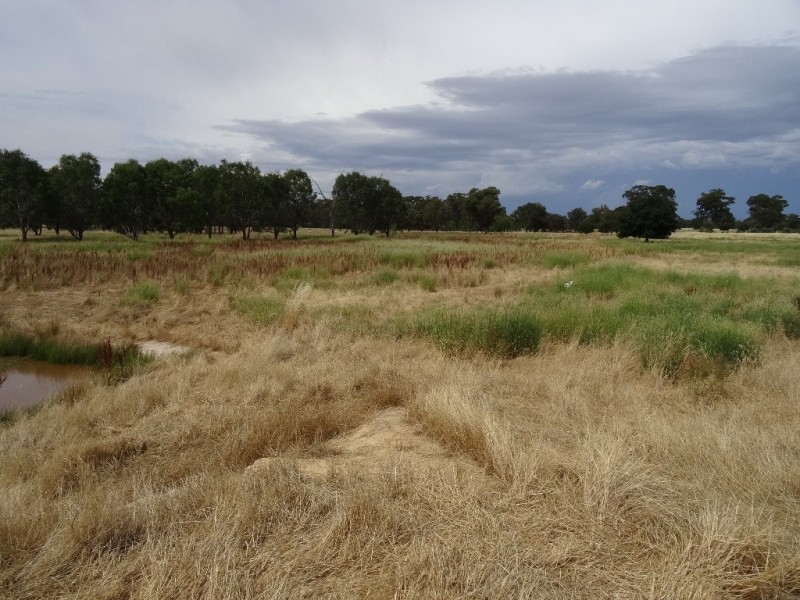 74 Laceby-Targoora Road, Laceby VIC 3678