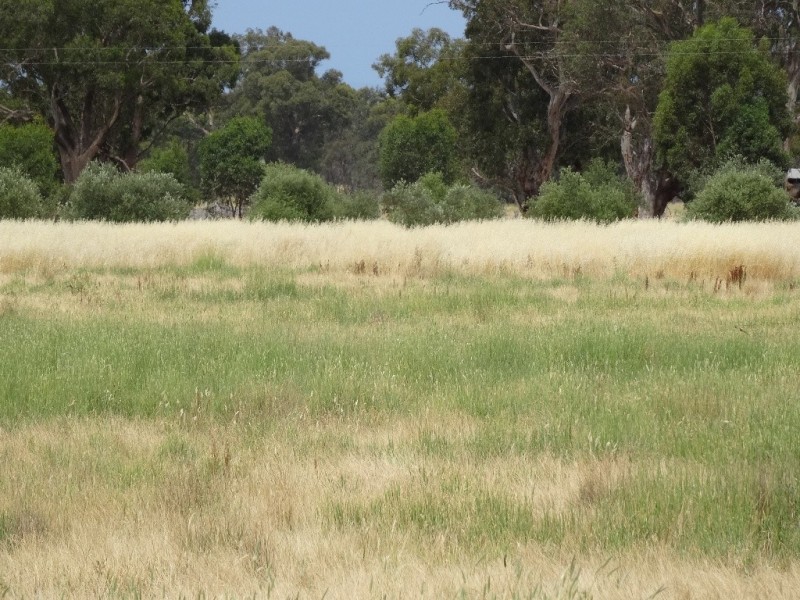 74 Laceby-Targoora Road, Laceby VIC 3678