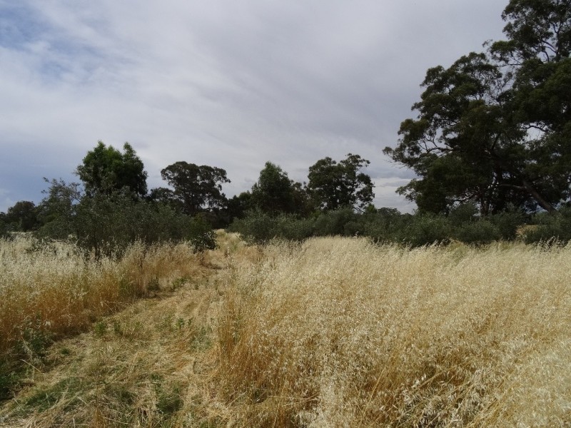 74 Laceby-Targoora Road, Laceby VIC 3678