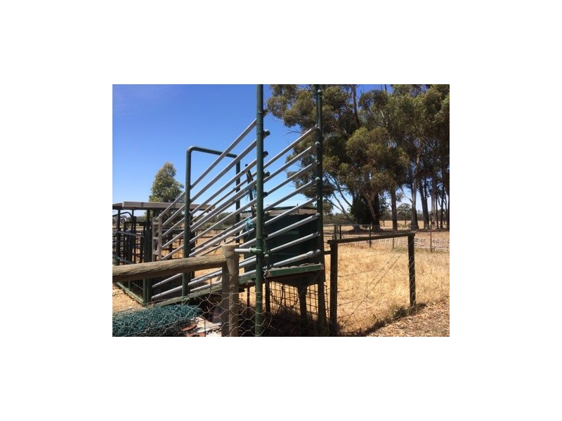 410 Wet Lane, Murchison VIC 3610