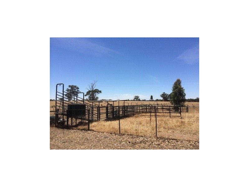 410 Wet Lane, Murchison VIC 3610