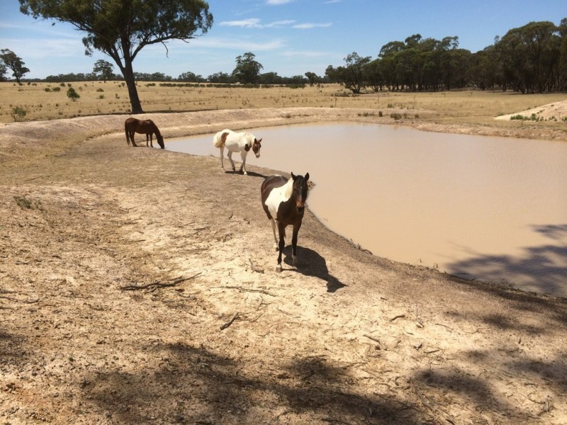 410 Wet Lane, Murchison VIC 3610