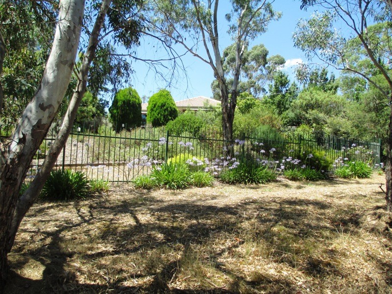 95 Webster St, Alexandra VIC 3714