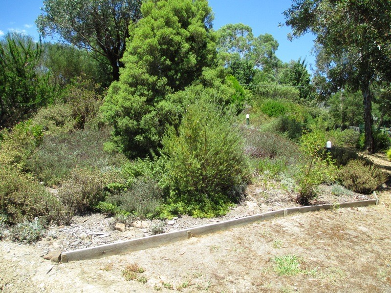 95 Webster St, Alexandra VIC 3714