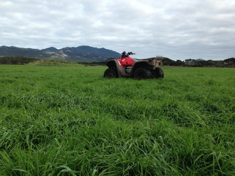 - Coast Road, Lady Barron, Flinders Island TAS 7255