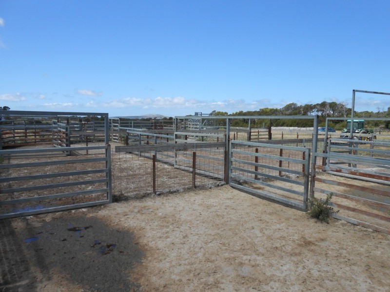 - Coast Road, Lady Barron, Flinders Island TAS 7255