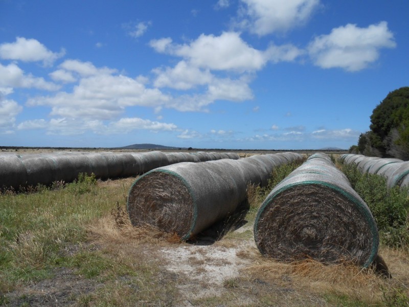 - Coast Road, Lady Barron, Flinders Island TAS 7255