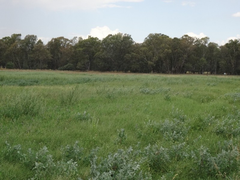 2035 Wangaratta-Whitfield Road, Docker VIC 3678