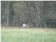 2035 Wangaratta-Whitfield Road, Docker VIC 3678