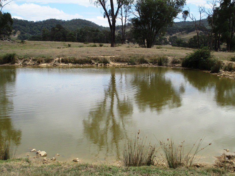 Part – 191 Jamieson – Licola Road, Jamieson VIC 3723