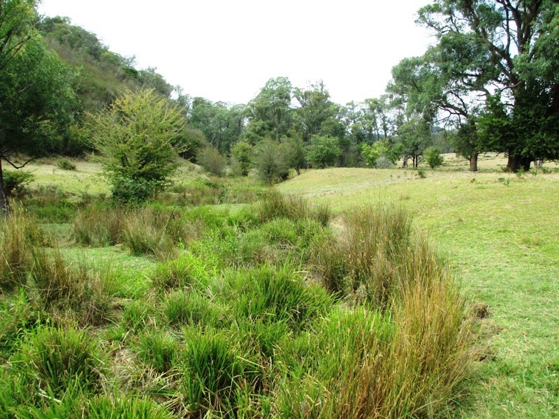 Part – 191 Jamieson – Licola Road, Jamieson VIC 3723