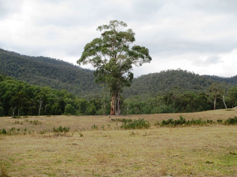 Part – 191 Jamieson – Licola Road, Jamieson VIC 3723