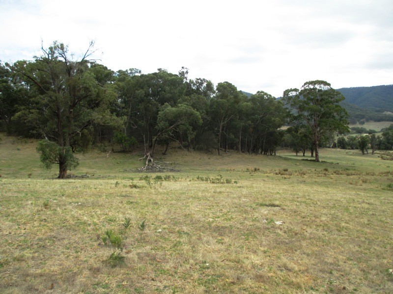 Part – 191 Jamieson – Licola Road, Jamieson VIC 3723