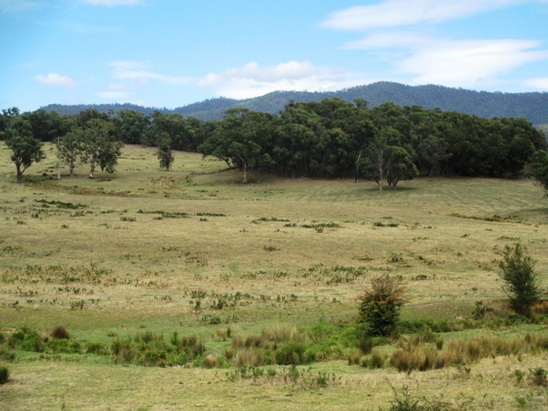 Part – 191 Jamieson – Licola Road, Jamieson VIC 3723