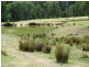 Part – 191 Jamieson – Licola Road, Jamieson VIC 3723