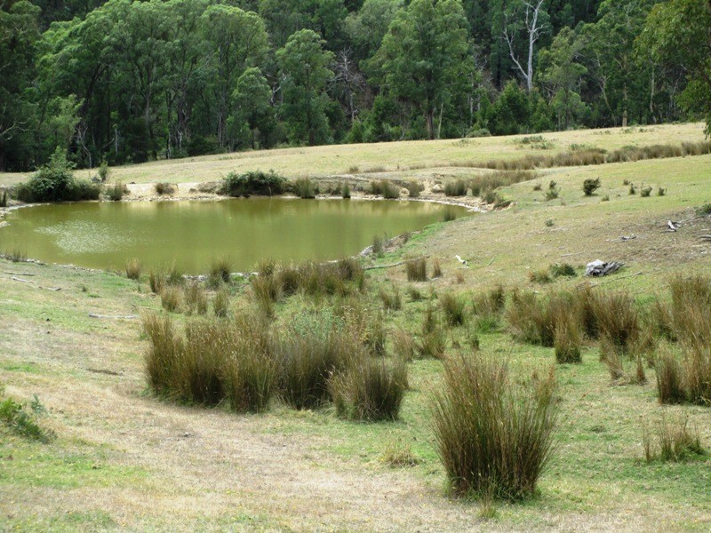 Part – 191 Jamieson – Licola Road, Jamieson VIC 3723
