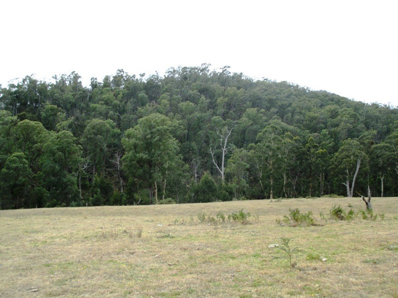 Part – 191 Jamieson – Licola Road, Jamieson VIC 3723