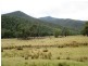 Part – 191 Jamieson – Licola Road, Jamieson VIC 3723