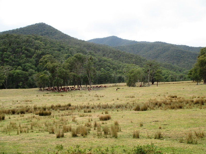 Part – 191 Jamieson – Licola Road, Jamieson VIC 3723
