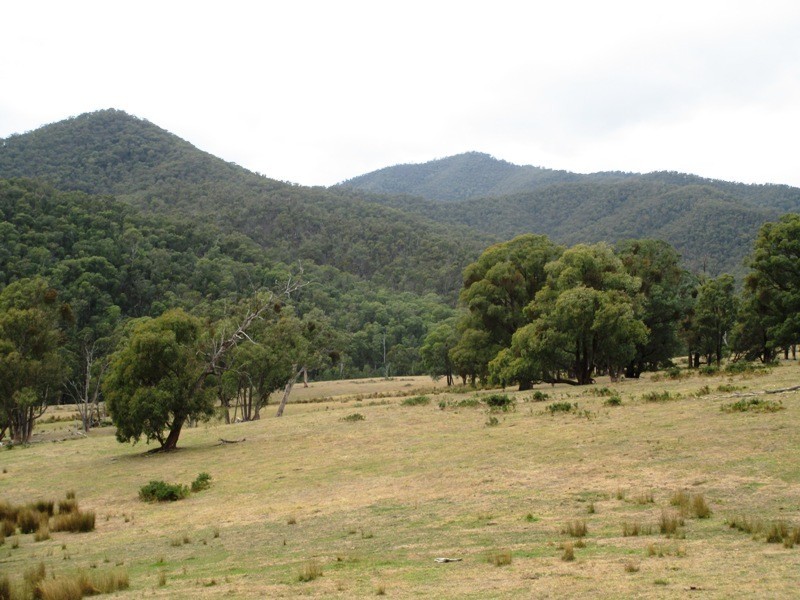 Part – 191 Jamieson – Licola Road, Jamieson VIC 3723