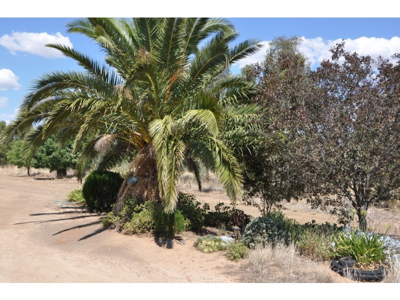 1160 Sidebottoms Road, Pine Lodge VIC 3631