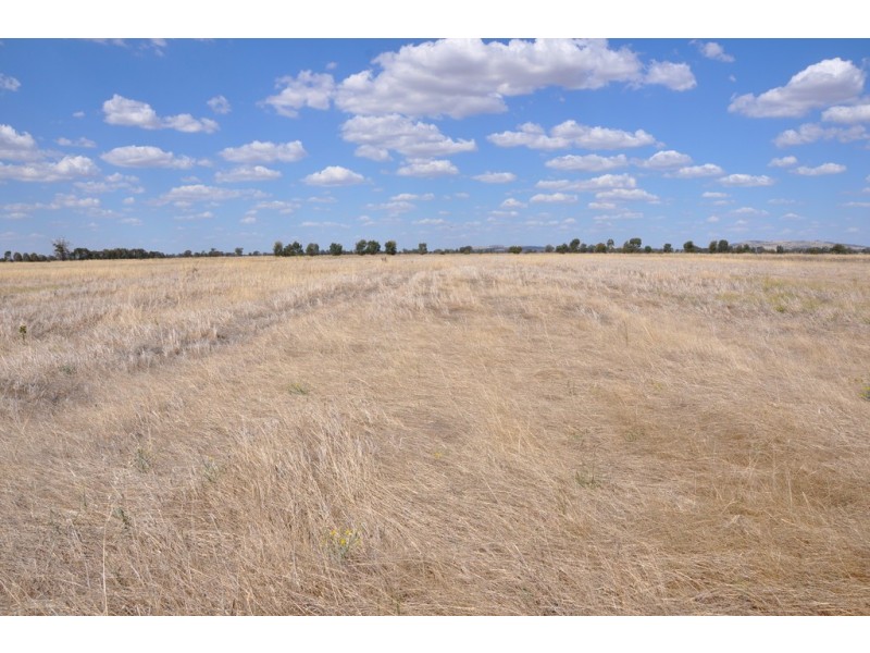 1160 Sidebottoms Road, Pine Lodge VIC 3631