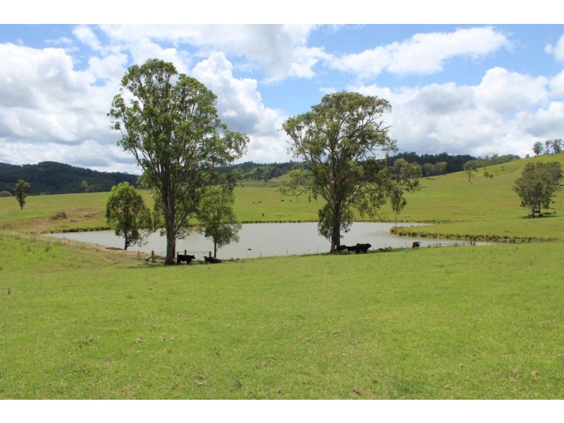 - Salisbury Road, Dungog NSW 2420
