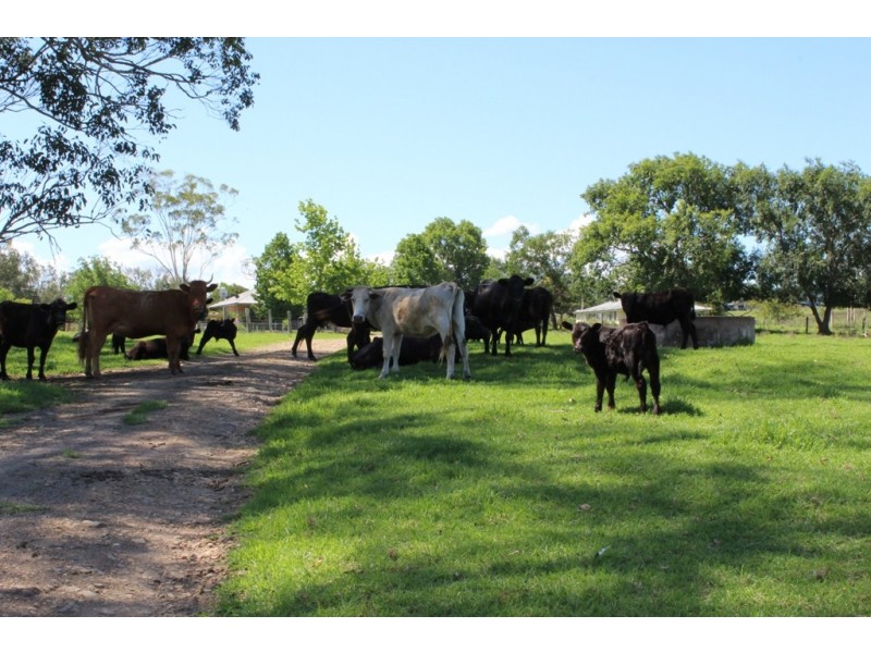 - Salisbury Road, Dungog NSW 2420