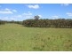- Salisbury Road, Dungog NSW 2420