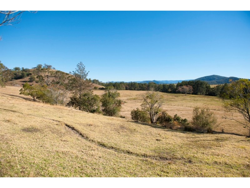 - Salisbury Road, Dungog NSW 2420
