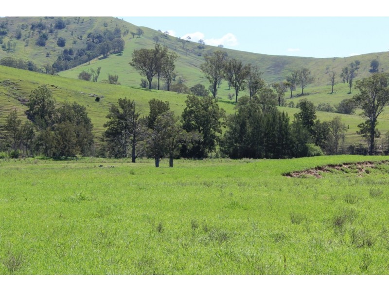 - Salisbury Road, Dungog NSW 2420