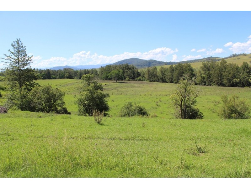 - Salisbury Road, Dungog NSW 2420